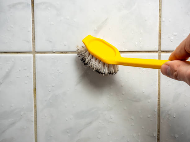 Best Black Mold Removal  in Bernardsville, NJ