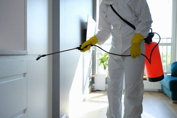 Mold Removal and Inspection in Bernardsville, NJ