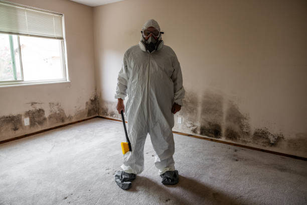 Best Mold Testing  in Bernardsville, NJ